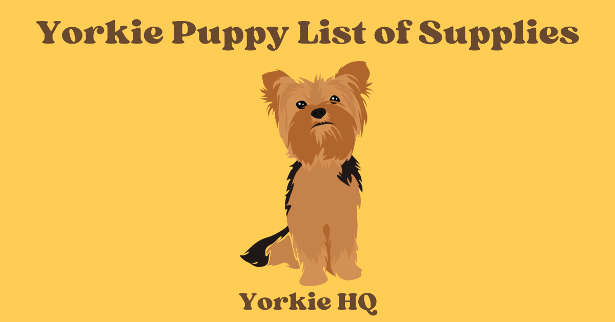 Yorkie Puppy List of Supplies