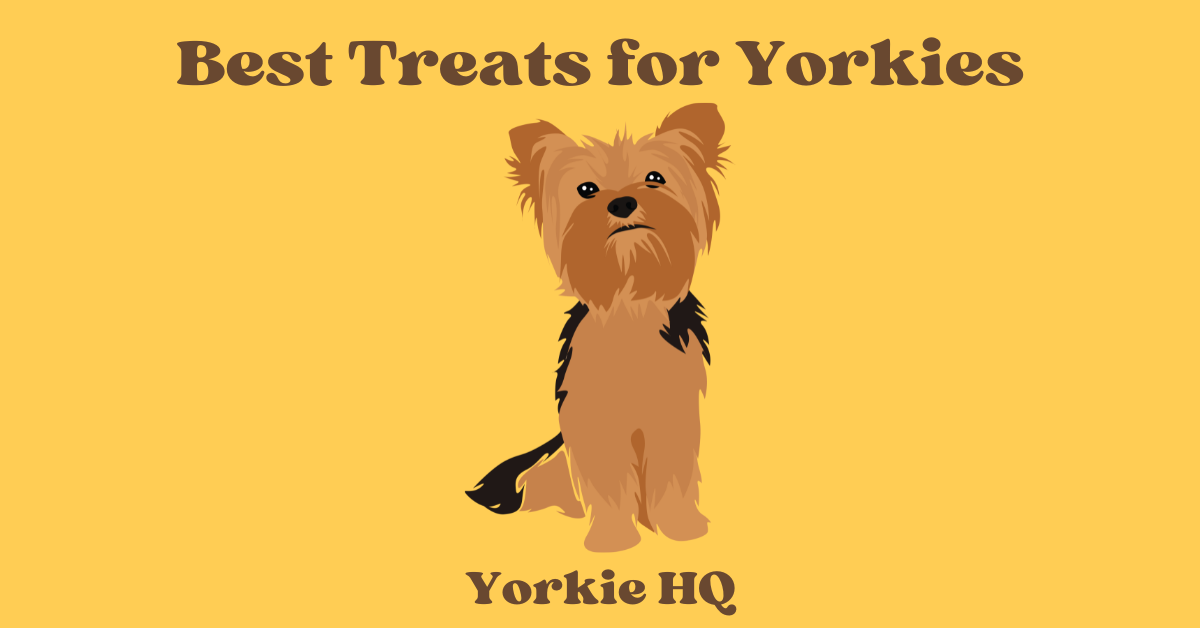 best treats for yorkies